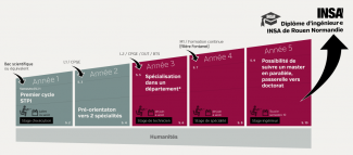 Schéma des études en 5 ans (description détaillée de cette image disponible ci-après)