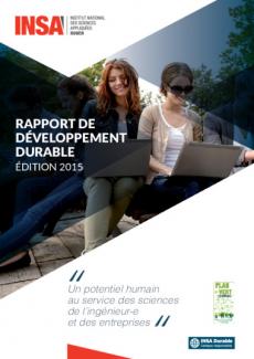 vignette Rapport de développement durable